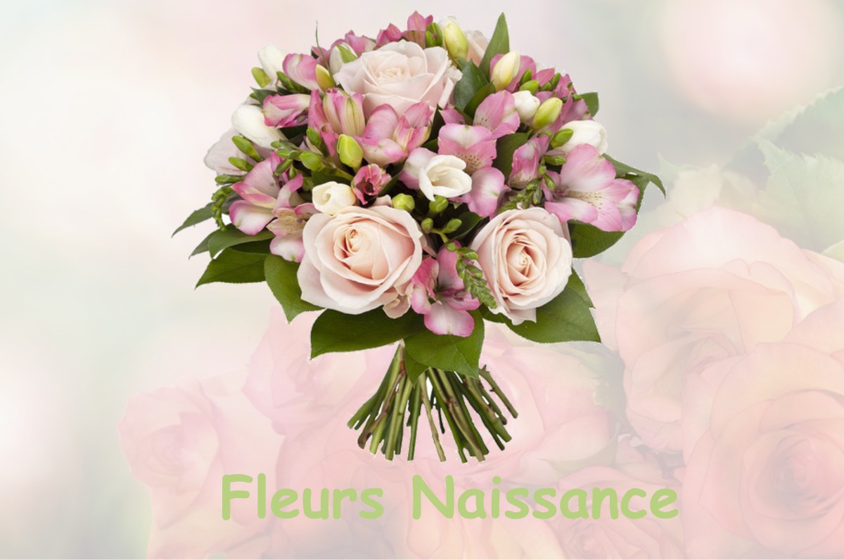 fleurs naissance HENDECOURT-LES-RANSART